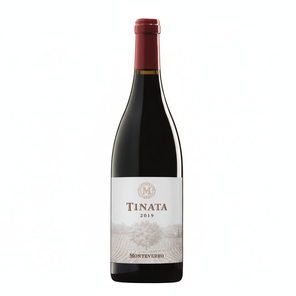 Tinata IGT 2021 | Monteverro | Toskana | Rotwein