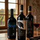 Italien Probierpaket | 6 Flaschen Rotwein-Kollektion | Borgo Molino, Cà del Moro & Colle al Vento