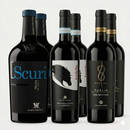 Italien Probierpaket | 6 Flaschen Rotwein-Kollektion | Borgo Molino, Cà del Moro & Colle al Vento