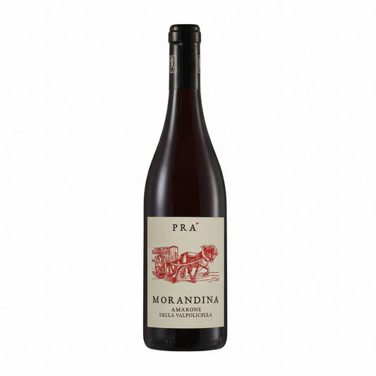 Amarone della Valpolicella 2016 | Azienda Agricola di Graziano Prà | Venetien | Rotwein