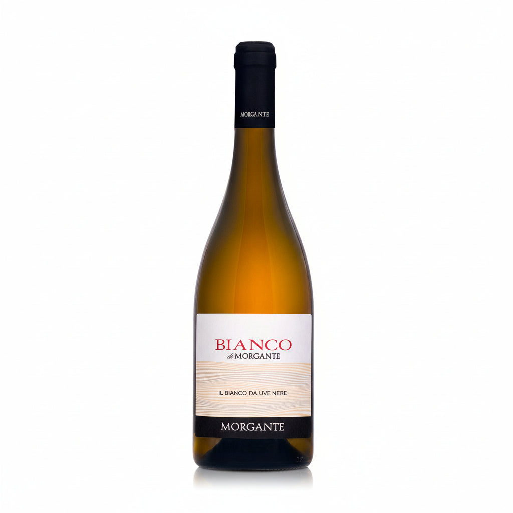 Bianco di Morgante 2024
